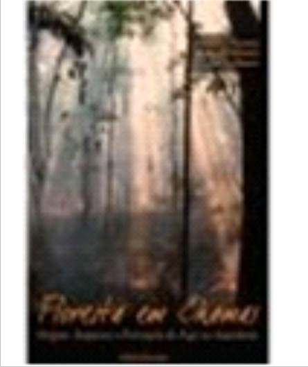 Book cover Floresta em Chamas- Origens, Impactos e Prevenção do Fogo na Amazônia